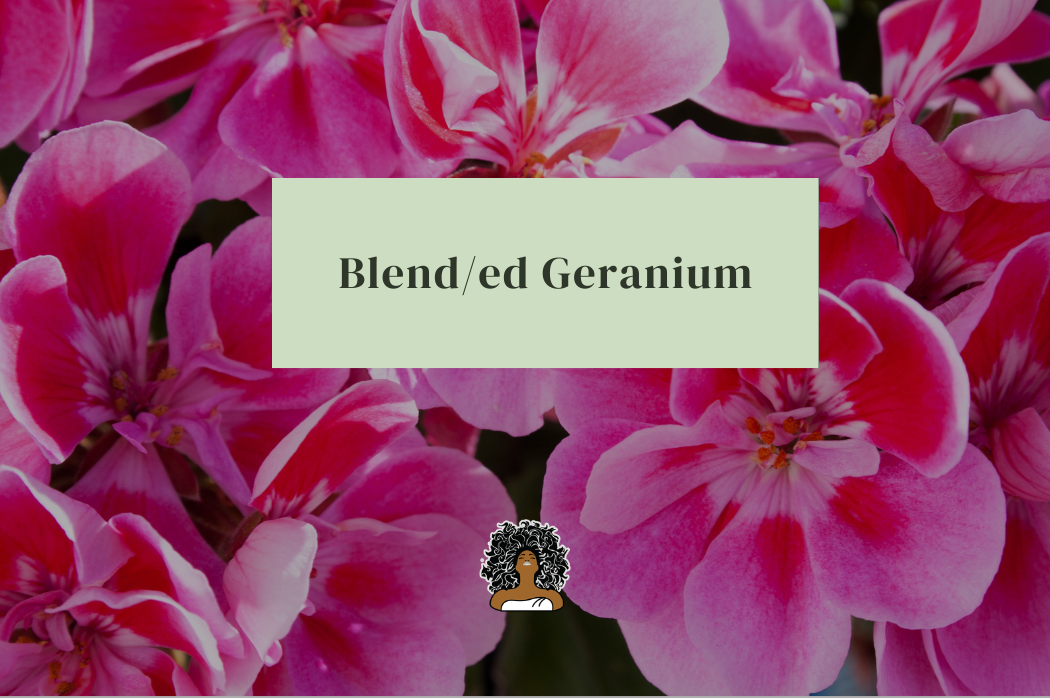 Geranium — “Crane’s Bill”