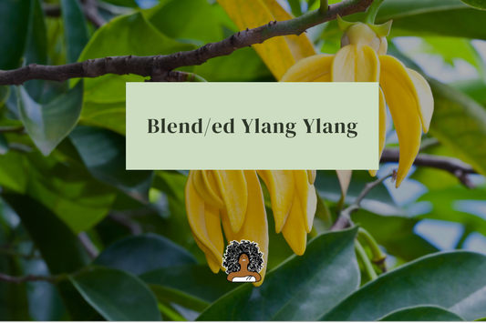 Blend/ed Ylang Ylang