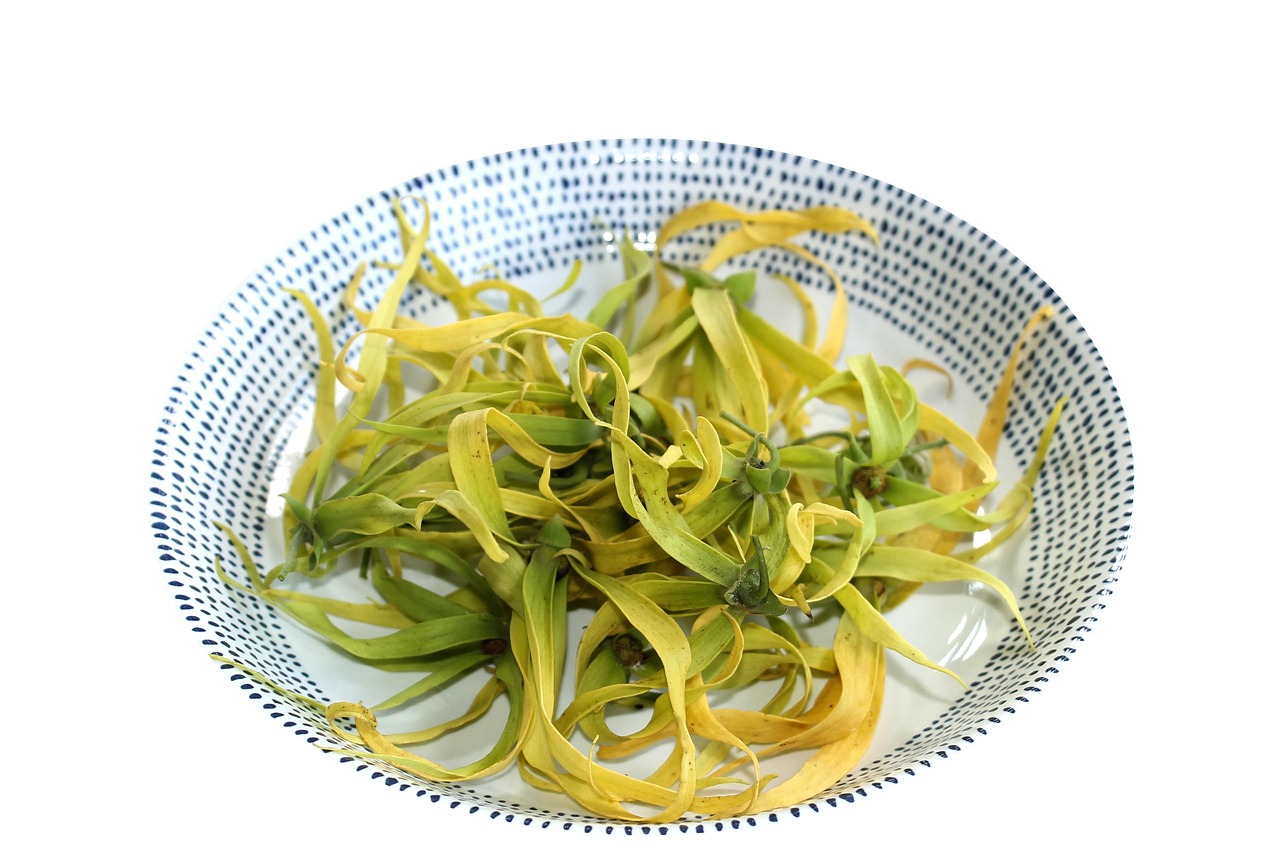 Ylang ylang flowers with fresh green leaves in a tropical garden setting